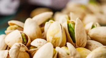 The Benefits of Replacing Animal Protein with Plant-Based Protein in a Low-Fat Diet
