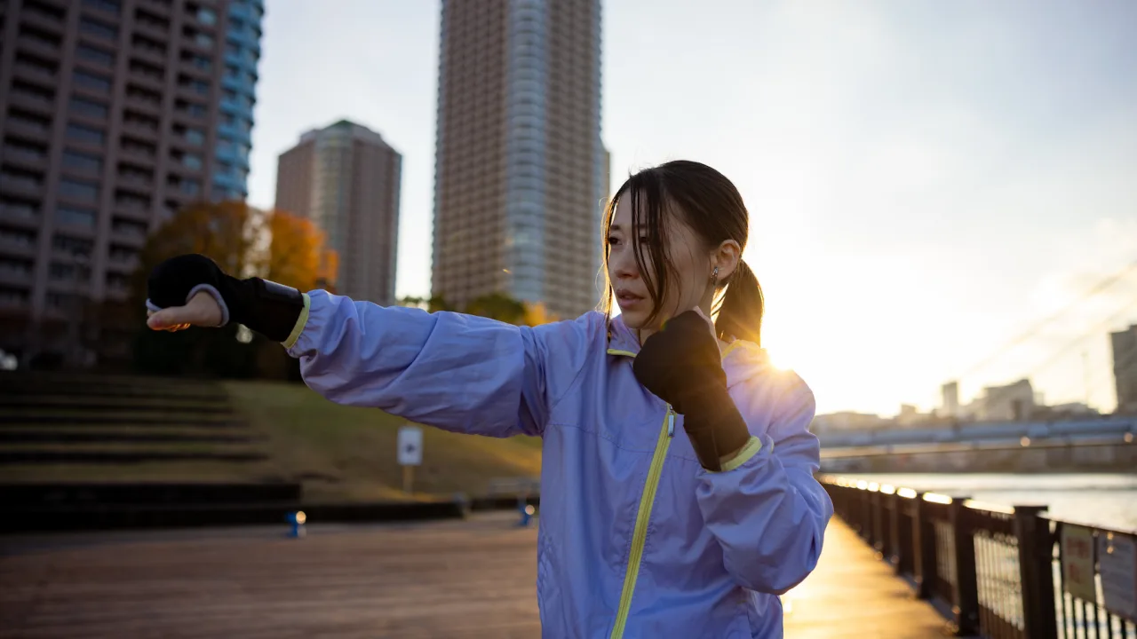 The Art of Shadowboxing