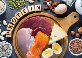 The Role of Protein in Your Diet