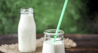 Leave Cheese and Yogurt Behind for a Healthier Paleo Diet