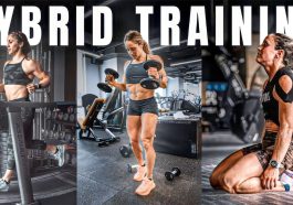 Hybrid Training
