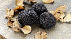 Truffles, Morels, and the Vegan Dilemma