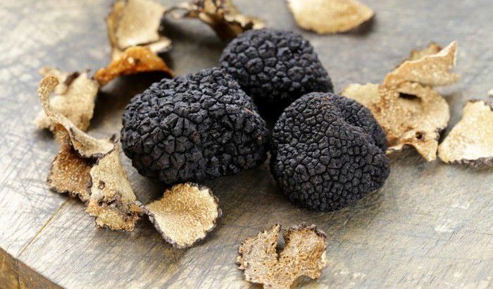 Truffles, Morels, and the Vegan Dilemma
