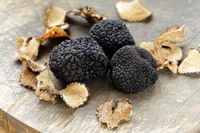 Truffles, Morels, and the Vegan Dilemma