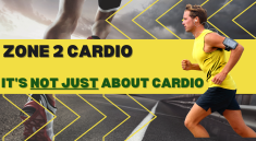 The Power of Zone 2 Cardio
