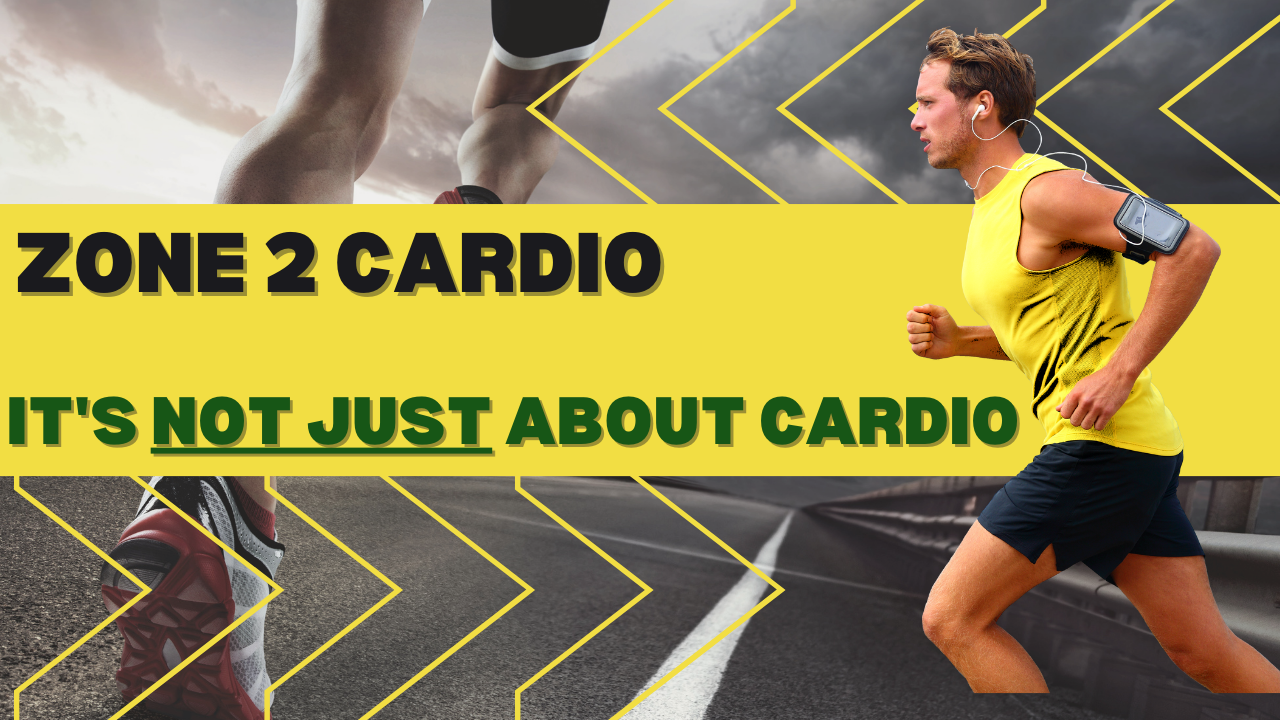 The Power of Zone 2 Cardio
