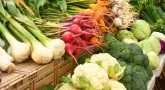 The Power of Vegetables