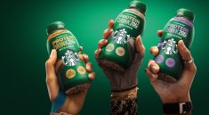 Starbucks Protein Coffee